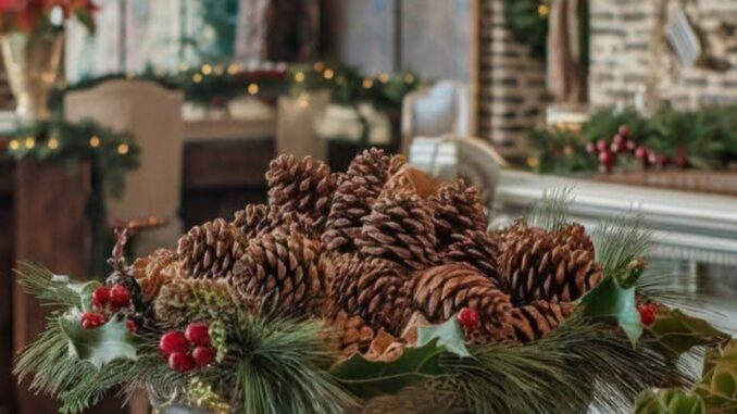 Decoracion_Navidad_2025 (7)